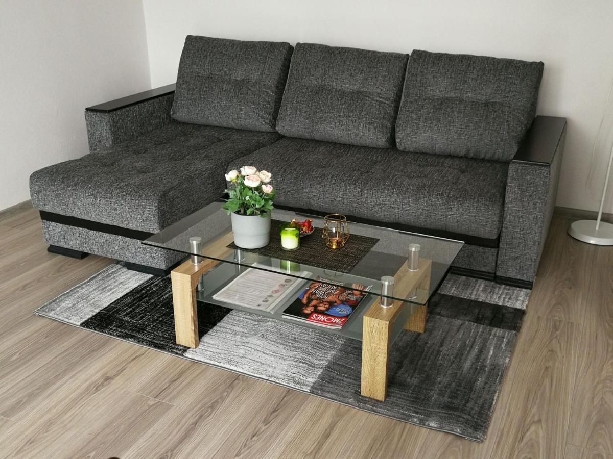 Draugystes Apartment Siauliai  Bagian luar foto